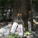삼해소주 이미지