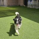 월드유치원 이미지