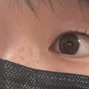 브로우드보