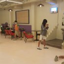 해피치 애견카페 이미지