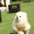 대명메디칼 이미지