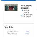 (주)엠디파트너 | Lady gaga In Singapore ! 언니가 안 오면 내가 가.. (급 싱가폴 여행 계획 세우기 대작전)