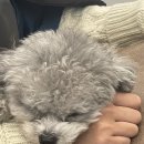 새로미헤어샵