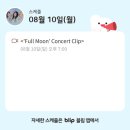비비지 스케줄 이미지