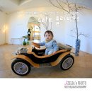 플라비우스 이미지