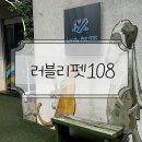 러블리펫 | [러블리펫108 애견펜션] 선재도 독채펜션/애견수영장, 조식까지 완벽한 가족여행 후기