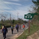 힘찬농장 티스토리