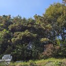 신포2리 마을회관 | 충청남도 서천군 마서면 신포2리 공덕마을숲