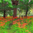 조각공원공중화장실1 이미지