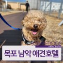 스퀘어독스 롯데남악점 이미지