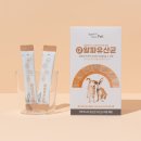 건강보탬 | 바른뉴트리펫 알파유산균 강아지 장 건강 4가지 변화 후기