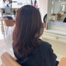지온헤어샵 | 아주대 미용실 헤어다이아 아주대점 지온실장께 레이어드컷, 아윤채 클리닉 받았어요