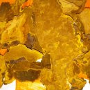 황철미가 이미지