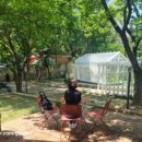 멘토르어린이집 이미지