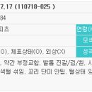 은평-025 이미지