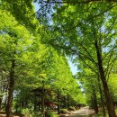 옥구2교 이미지