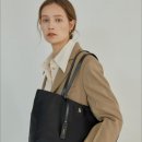 골드퍼피 이미지