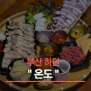 육회온도 티스토리