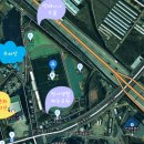 범서생활체육공원 2 | [울산가볼만한곳] 박태기나무 군락지 100m &lt;범서생활체육공원&gt; 개화상태(`25.4.8)