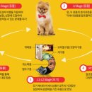 서일약국 이미지