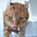 우리카인테리어 이미지