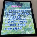 관저중로64번길 | 대전 관저동 맛집 가족외식하기 좋은[원미정]마치광장 가성비맛집 막국수 돈까스 솔직후기