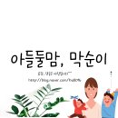 영웅누리태권도 | 초등입학 축하선물로 초등베스트셀러 나무집시리즈, 드레곤빌리지, 딱한가지소원 취향저격👍