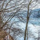 본마을4길 9 이미지