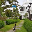 판타루시아 A | 미스고기 - 라이트 세트로 캠핑 / 펜션 바베큐 준비물 한번에 끝!