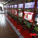 중앙게임장 이미지