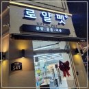 로얄펫 강아지분양 고양이분양 전주본점 이미지