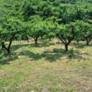 새동네농장 이미지