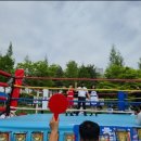 일도복싱 이미지