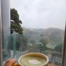 친절한홍치과 | 2025년 10월의 기록 1(먹짱🐷투어)