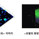 피엔케이 - 연수구 | 피엔케이