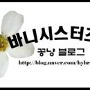 비어넷