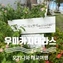 우리카쎈타 | [일본 태교여행]오키나와 나하 공항 근처 가볼만한 곳 우미카지 테라스