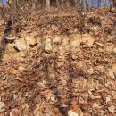 목령산성 | 청주 목령산성(淸州 鶩嶺山城)