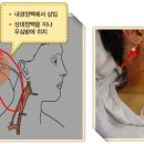 양명요양병원 이미지