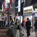씨즈더데이 이미지