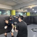 소미션스주짓수&복싱MMA