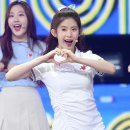 데이지 뮤직 이미지