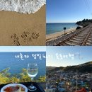 김밥파는사람들용산2호점 | 뚜벅이 당일치기 묵호여행🐙🦑🐚