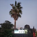 제주 자르뎅 이미지