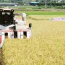 김종욱농장 이미지