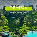 스페이스노마드학원 | 발리 우붓 여행 추천 코스: 일과 여행을 함께할 수 있는 대표 지역