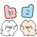 스타성인게임장 이미지