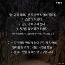 측두엽, 후두엽 전기자극하면 환각, 환시 일어난다 - 마이클 퍼신저 교수 Dr. Michael Persinger 이미지