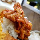 돈차르