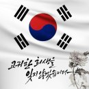 625 Daum카페